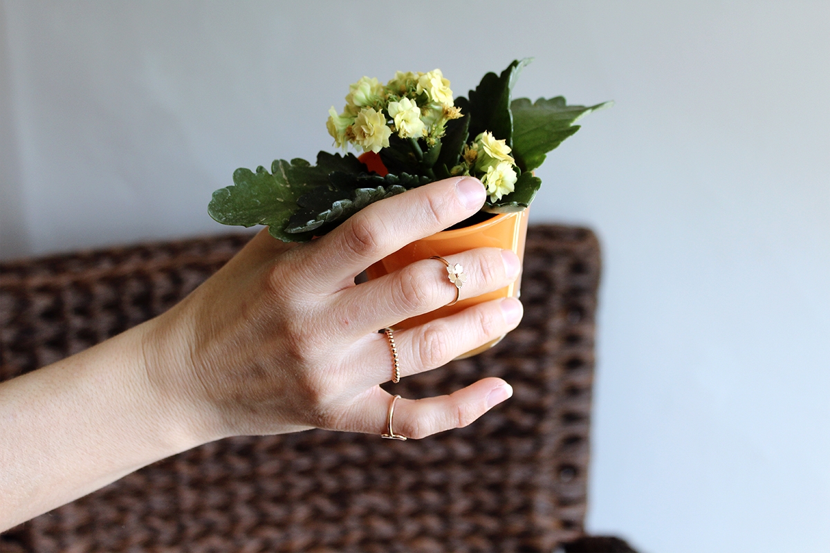 Hand full of rings holding plant pot