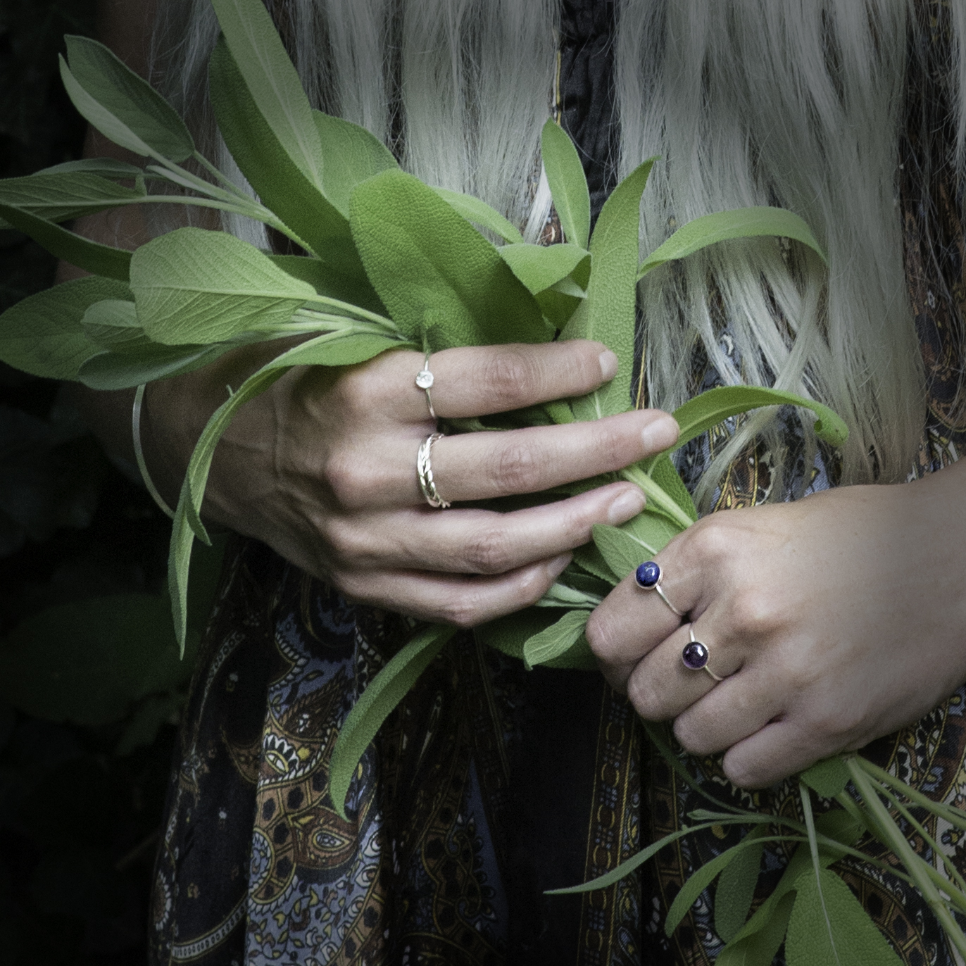 rings on hands holding sage