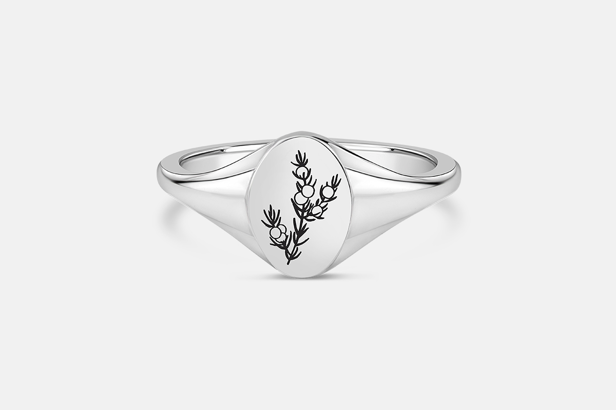 Sterling silver signet ring on a white background engraved with drawing of juniper plant.