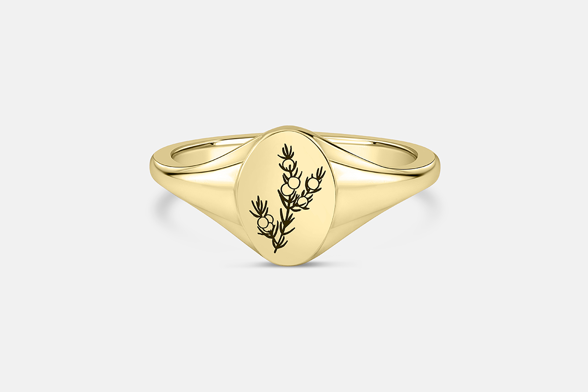 Oval signet ring in solid gold with botanical engraving of juniper plant.